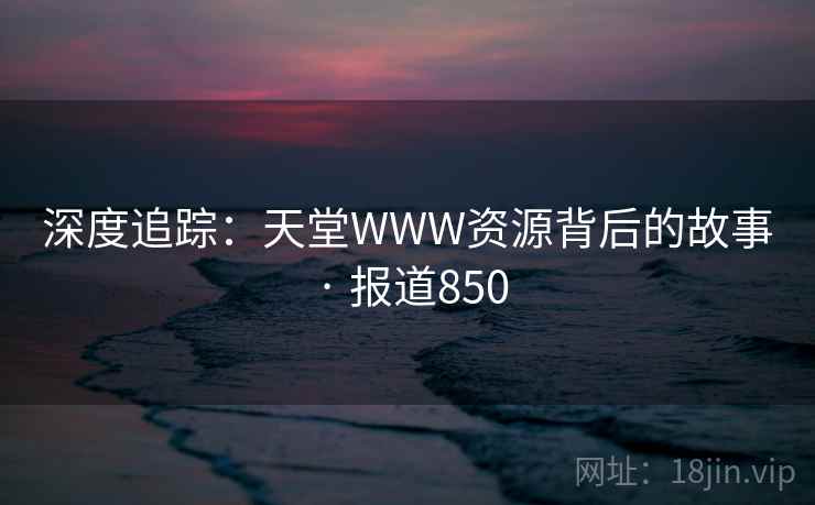 深度追踪：天堂WWW资源背后的故事 · 报道850