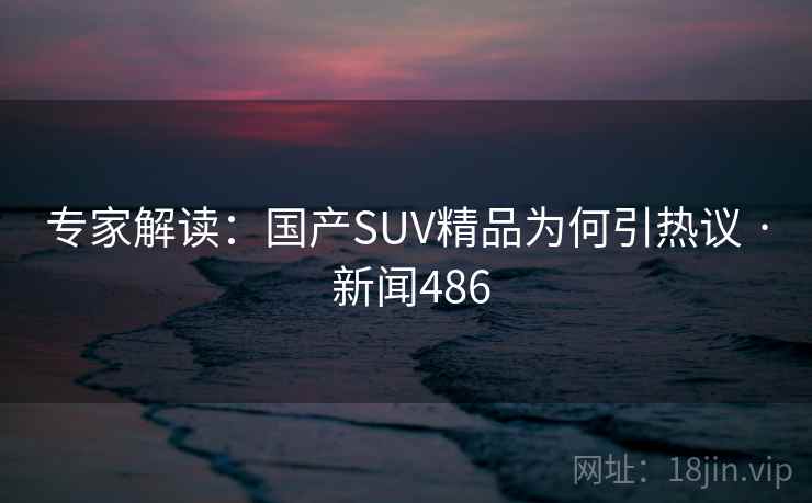 专家解读：国产SUV精品为何引热议 · 新闻486